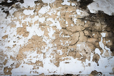 Full frame shot of weathered wall