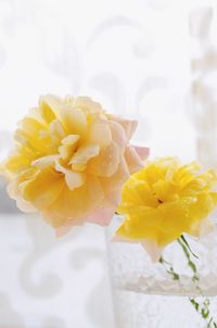 Close-up of yellow rose bouquet