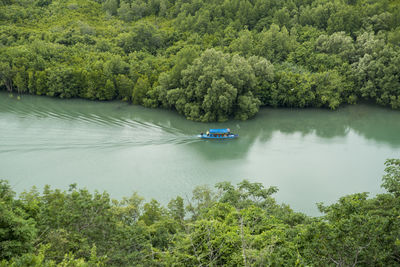 Scenic view of lake amidst trees in forest