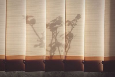 Shadow of plant on blinds