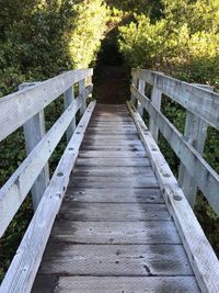 Empty wooden footbridge along plants