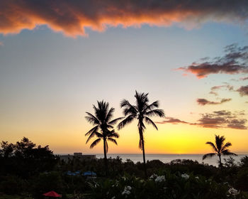 Low angle view of palm trees against sky during sunset