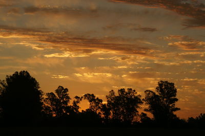 Silhouette trees against sky during sunset