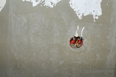 High angle view of fruits on wall