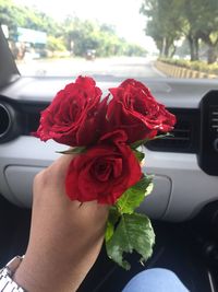 Midsection of red rose in car