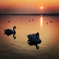 Scenic view of sunset over sea