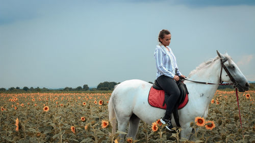 Man riding horse on field against clear sky