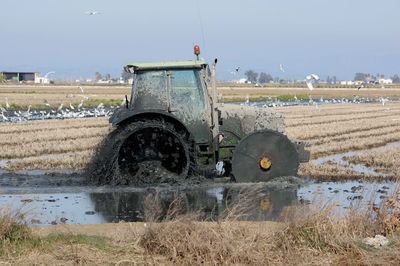Plowing rice field with tractor