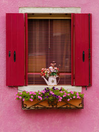 Potted plant