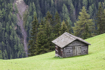 Old alp shed on a slope