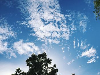 Low angle view of tree against blue sky