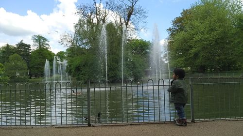 Rear view of boy standing by trees against sky