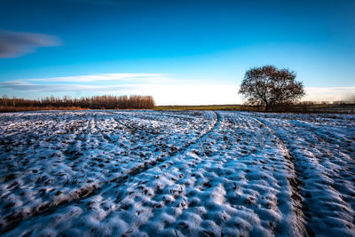 Scenic view of snow covered field against blue sky