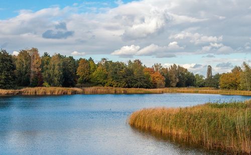 Scenic view of lake by trees against sky