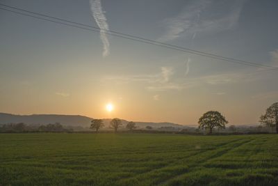 Scenic view of field against sky during sunset