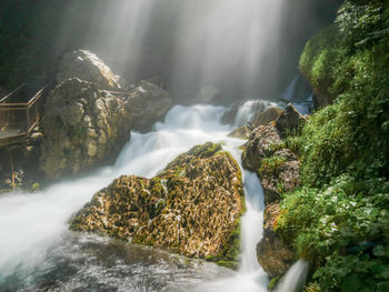 Scenic view of waterfall in forest