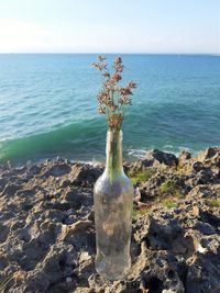 Glass bottle and sea on the honeymoon beach, bali