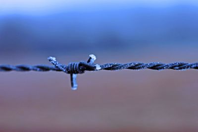 Close-up of icicles on snow covered fence