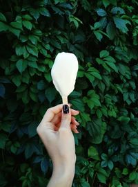 Cropped hand holding popsicle stick against plants