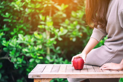 Midsection of woman holding apple on wood