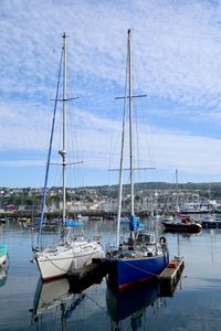 Sailboats moored in harbor