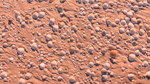 Full frame shot of pebbles on beach