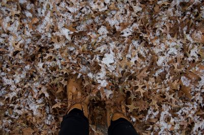 Low section of person wearing shoes while standing amidst fallen leaves covered with snow