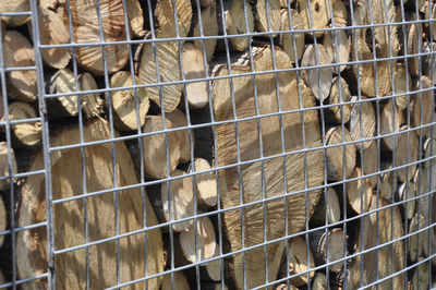 Full frame shot of fence in cage