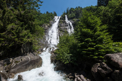 Scenic view of waterfall in forest