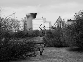 Plants by building against sky