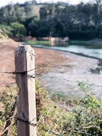 Close-up of wooden post against trees