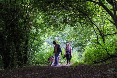 Rear view of people walking on footpath in forest