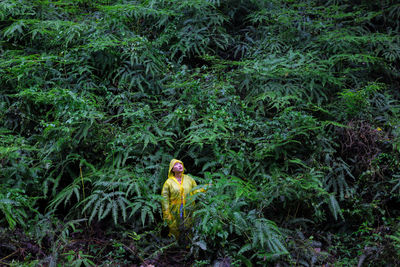 Woman wearing raincoat standing amidst trees in forest