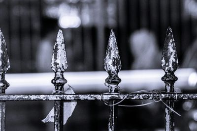 Close up of christmas tree