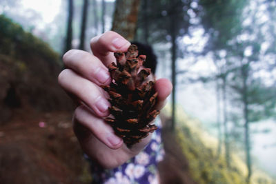 Close-up of hand holding ice cream cone at forest