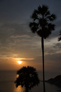 Silhouette palm tree by sea against sky at sunset