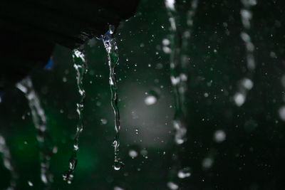 Close-up of water drops falling from plant