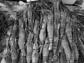 Close-up of food for sale