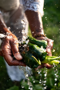 Close-up of hand holding wet leaf