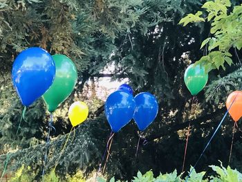 Low angle view of balloons against trees