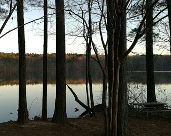 Reflection of trees in lake against sky