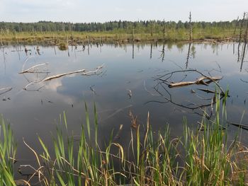 Scenic view of lake