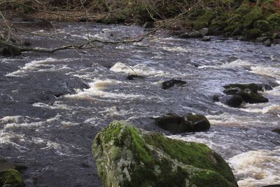 High angle view of rocks in water