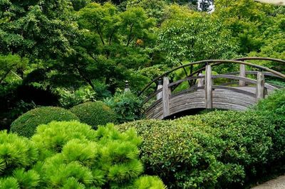 Footbridge amidst trees and plants