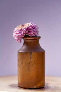 Close-up of flowers on table