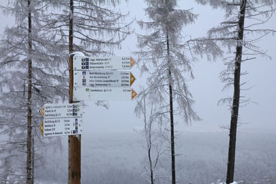 Information sign on tree trunk during winter