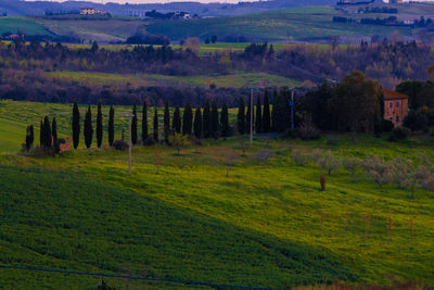 Scenic view of landscape