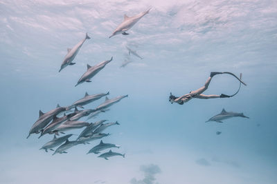 Woman snorkeling with fishes underwater