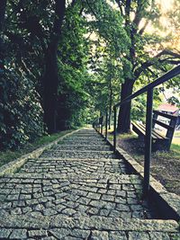 Footpath amidst trees