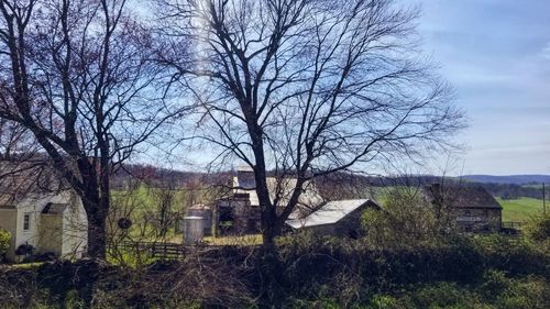 Bare trees and buildings on field against sky